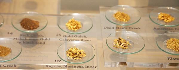 Gold nuggets on display at the Wells Fargo Museum in Downtown San Francisco. (Wells Fargo Bank)