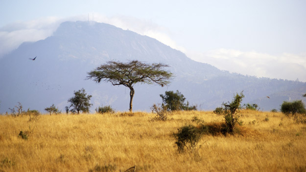 Top Safaris In Southern Africa – CBS San Francisco