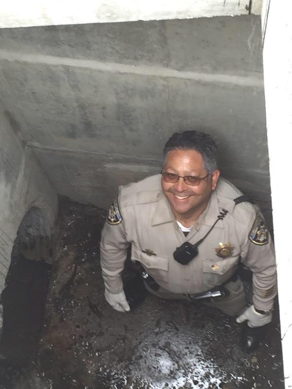 A CHP officer rescued seven ducklings from a storm drain near the Golden Gate Bridge Wednesday. (Courtesy: CHP)
