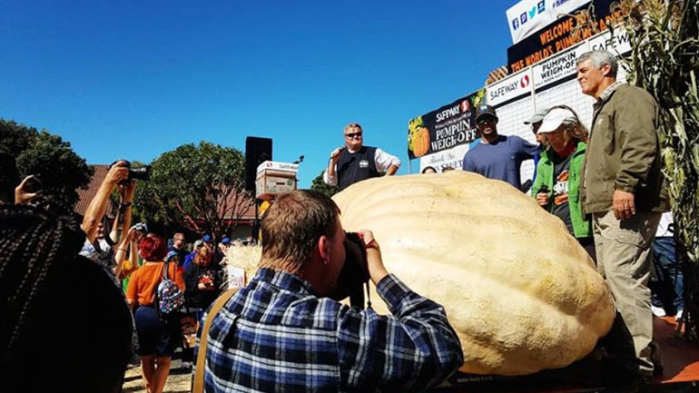 A 2,170 pumpkin grown by Steve Daletas of Oregon won the 2018 pumpkin weigh-off in Half Moon Bay on August 8, 2018. (hmbpumpkinfest / Instagram)