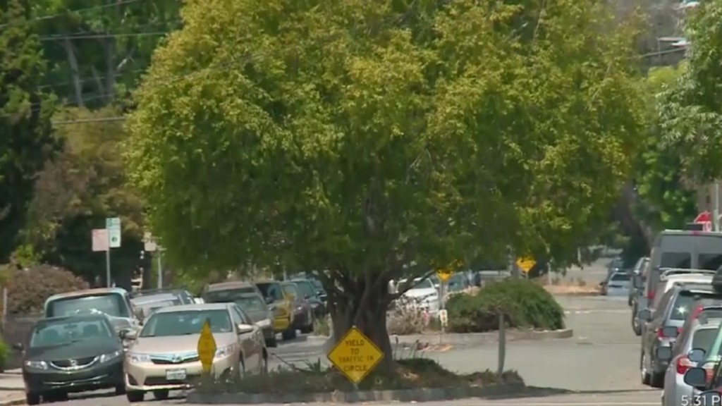 Berkeley Officials Decide Not To Cut Down Existing Traffic Circle Trees - CBS San Francisco