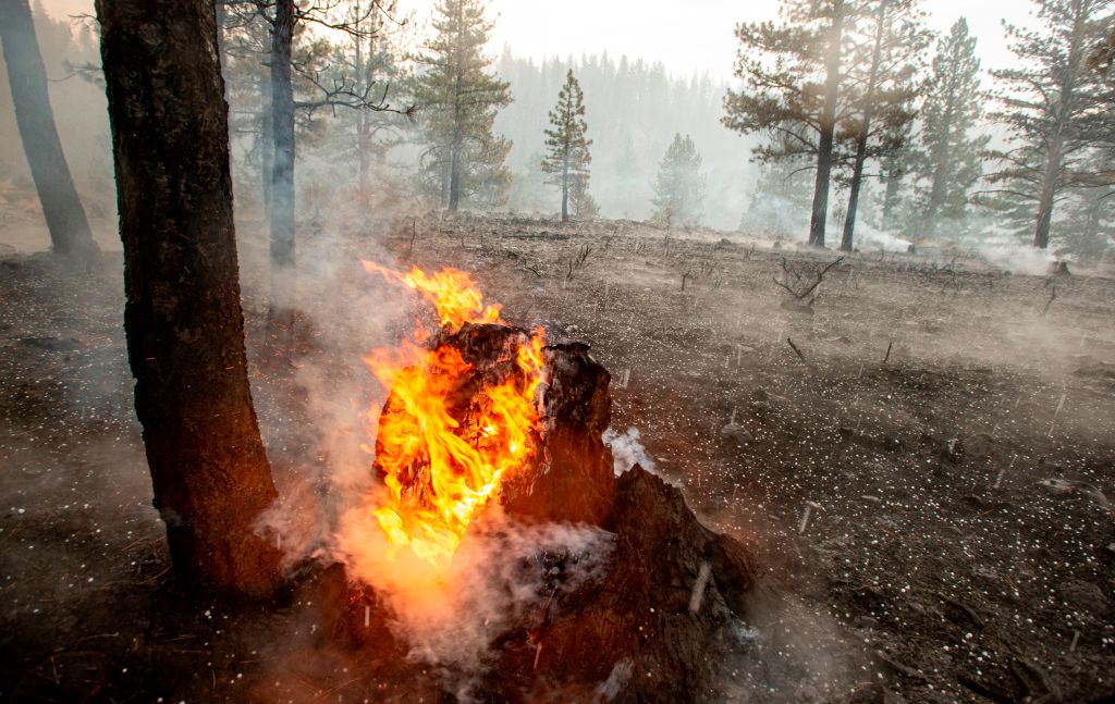 A tree stump keeps burning as hail falls directly on the Hog fire near Susanville, California on July 21, 2020. - A thunderstorm cell mixed with a pyrocumulus ash column from the Hog fire, bringing with it erratic winds and lightning before evolving into a hail storm that extinguished a portion of the fire. (JOSH EDELSON/AFP via Getty Images)