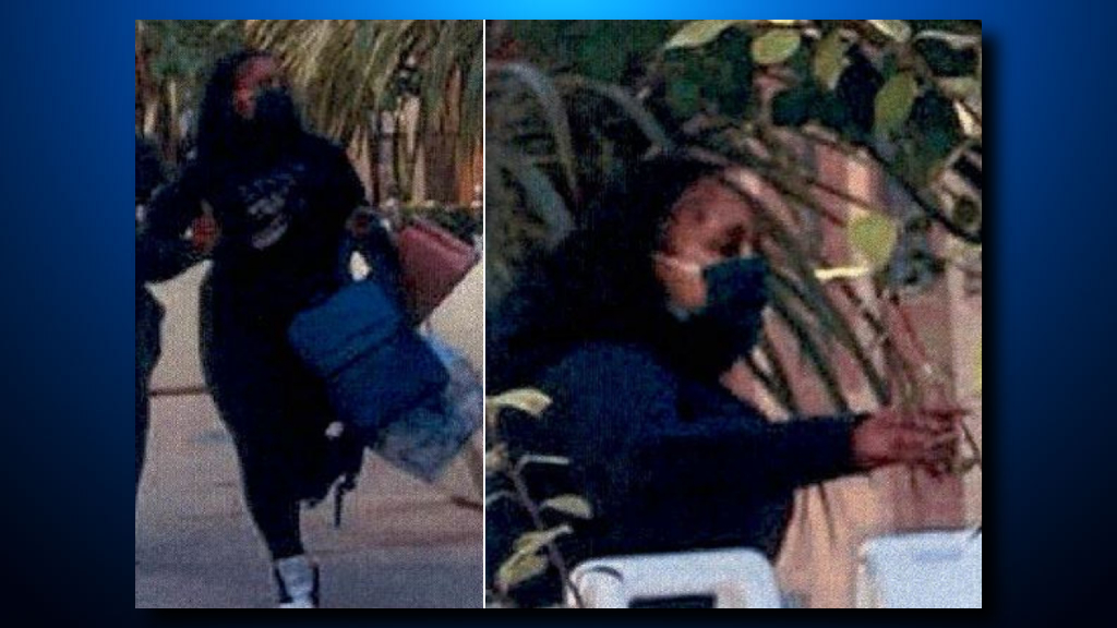 Police seek suspects in daytime Louis Vuitton bags heist at Kenwood mall