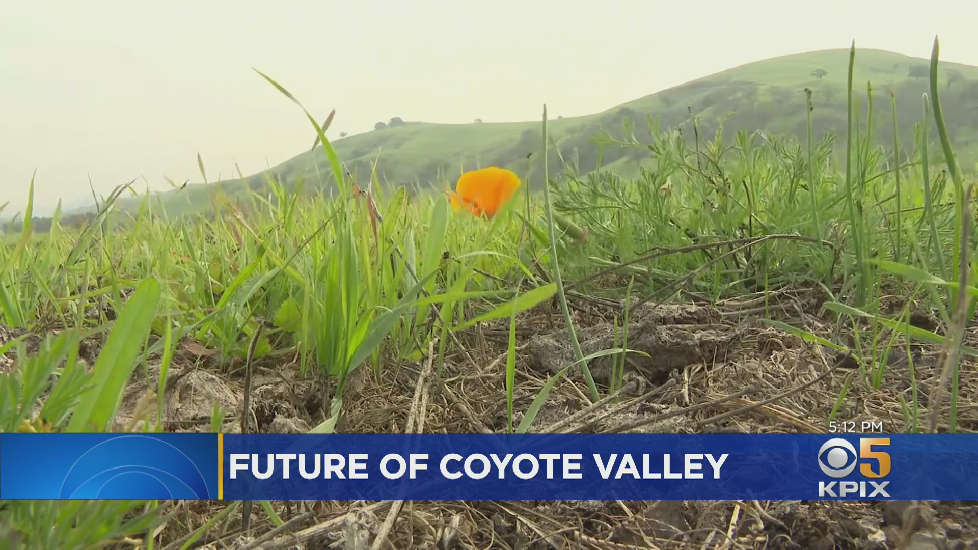 Developers, Conservationists At Odds Over Future Of Coyote Valley In San Jose