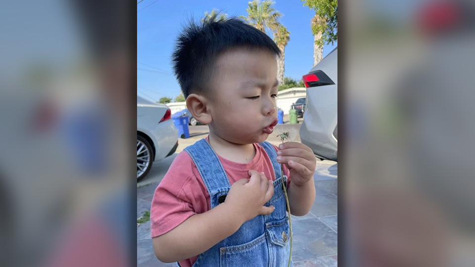 ‘The Worst I’ve Seen’: Community Shocked After Toddler Killed In Gun Battle Between Cars On Highway
