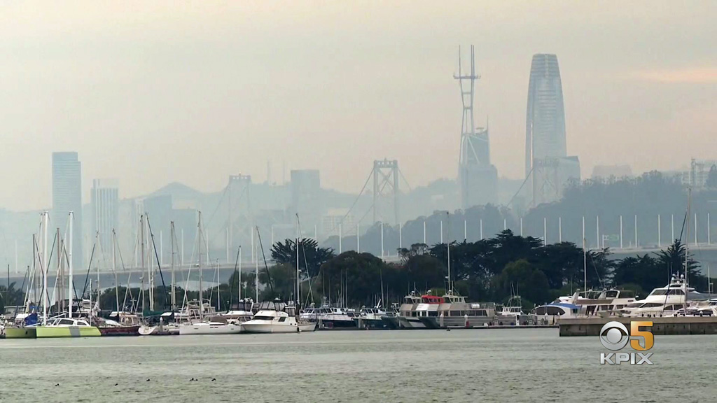 Tsunami Alert Forces Daylong Evacuation of Berkeley Marina – CBS San Francisco
