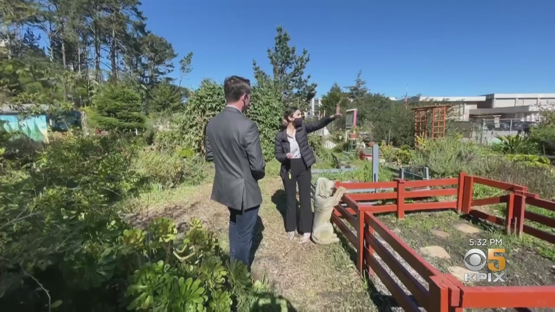 Daly City Housing Development Plans Squeezing Out Beloved Community Garden